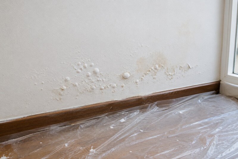 Parede recentemente pintada onde a humidade voltou a provocar bolhas e manchas devido a uma infiltração não resolvida.